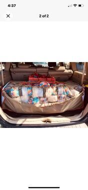 New Thirty One Cargo Bungee Car Organizer - Olive Colorblock